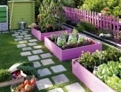 Colourful garden edging